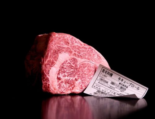 ۱۰ عامل کلیدی بر قیمت گوشت برزیلی